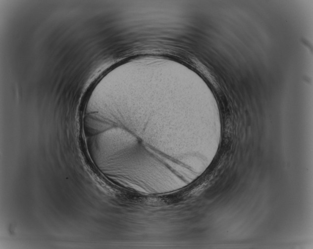 X0000092060787200710101033