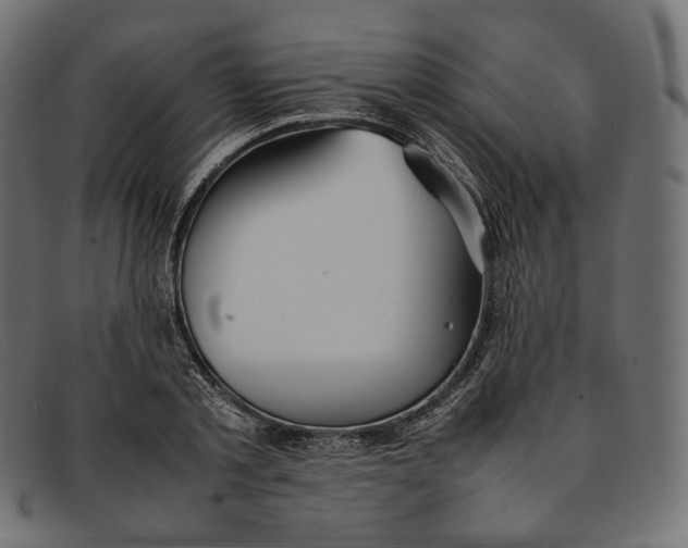 X0000092060789200710101033