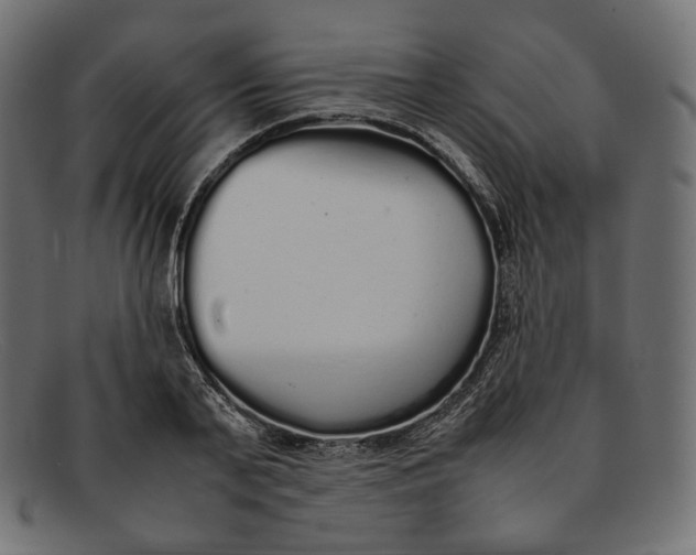 X0000092060791200710101033