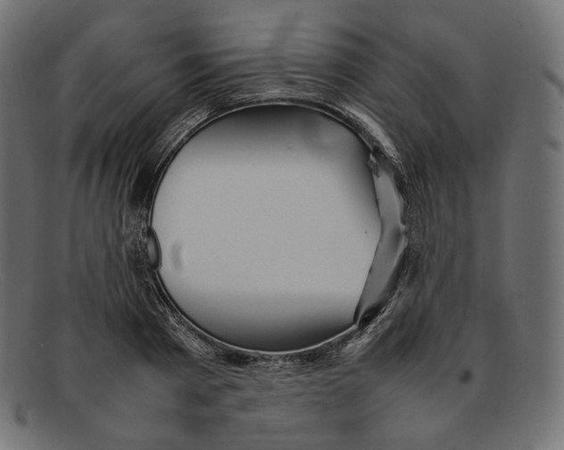 X0000092060793200710101033