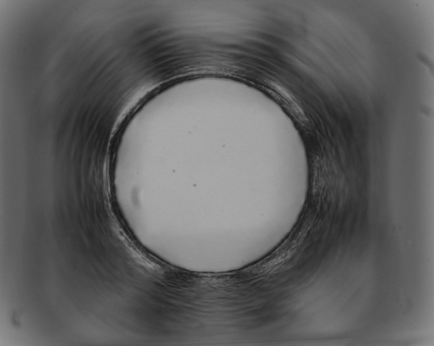 X0000092060796200710101033