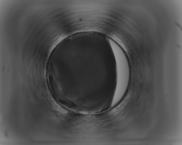 X0000092060797200710101033