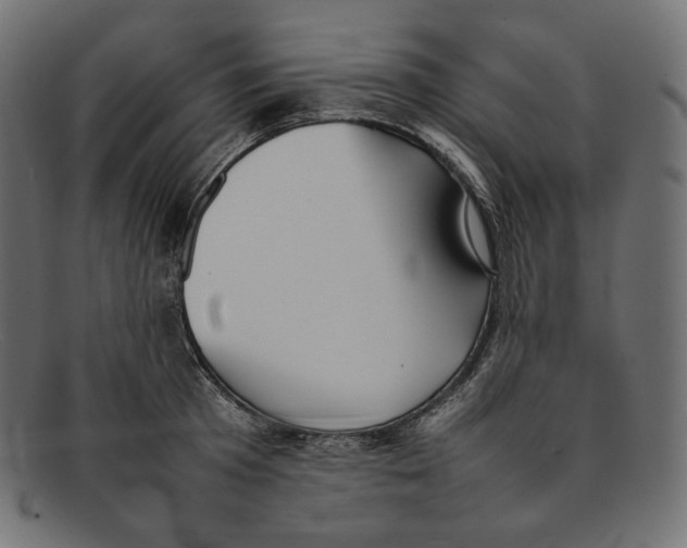 X0000092060801200710101033