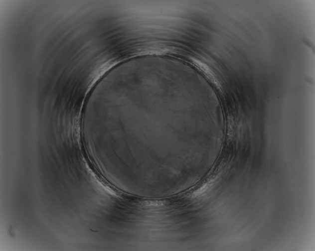 X0000092060802200710101033