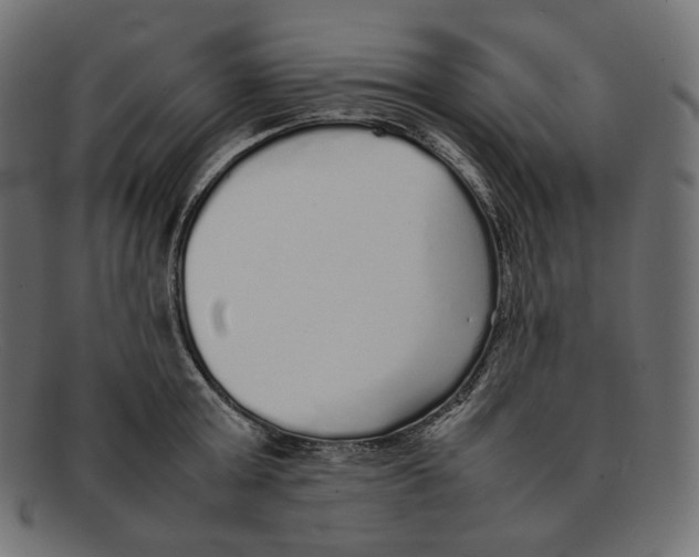 X0000092060803200710101033