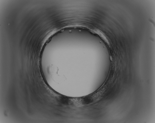 X0000092060805200710101033