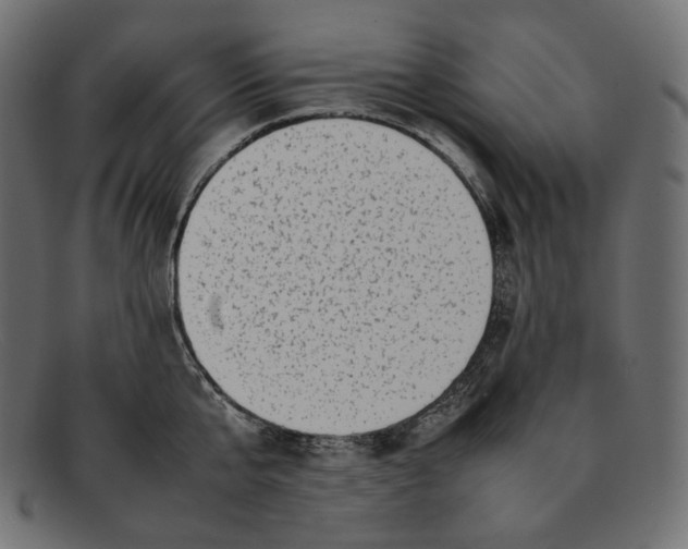 X0000092060807200710101033