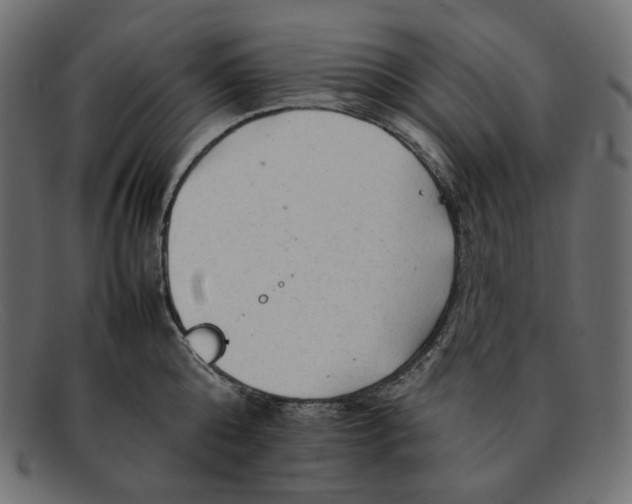 X0000092060808200710101033