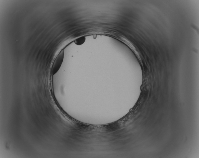 X0000092060811200710101033