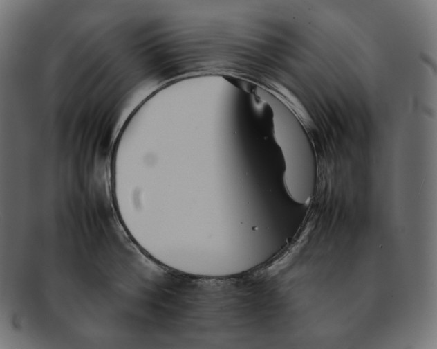 X0000092060812200710101033