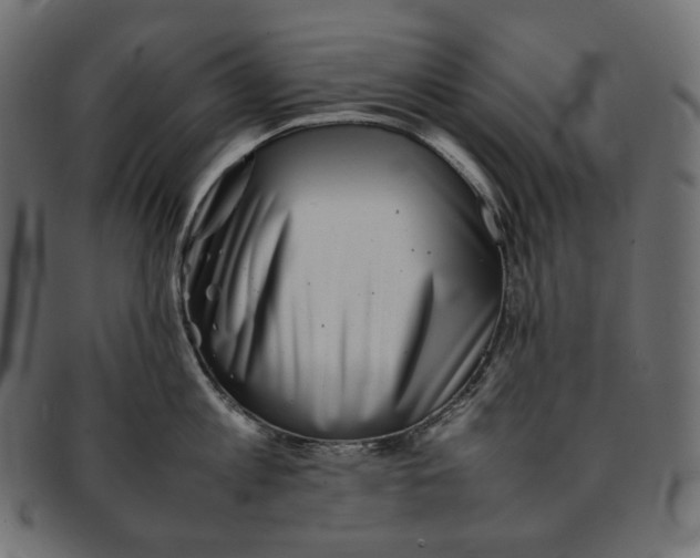 X0000092060813200710101033