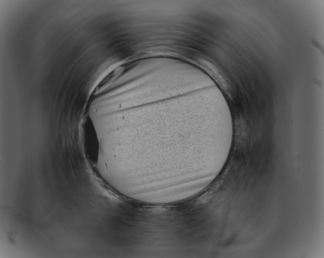 X0000092060814200710101033