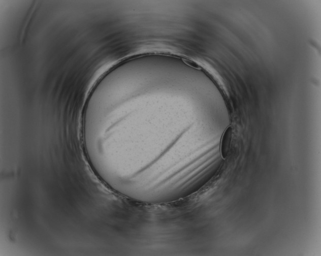 X0000092060815200710101032