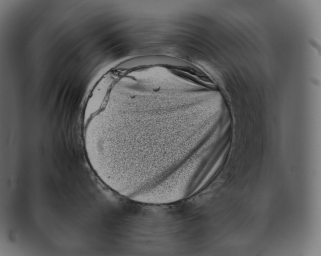 X0000092060816200710101032