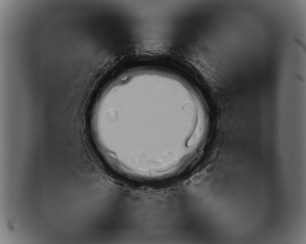 X0000092060817200710101032