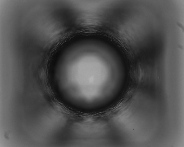 X0000092060818200710101032