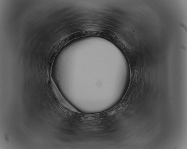 X0000092060821200710101032