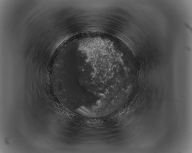 X0000092060823200710101032