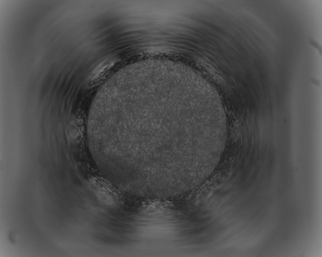 X0000092060824200710101032