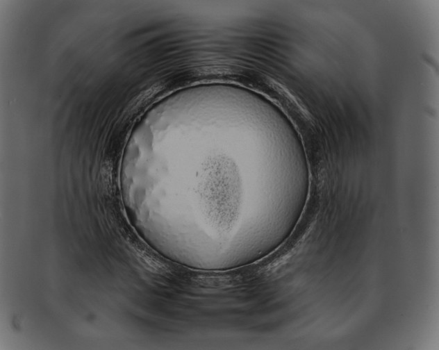 X0000092060825200710101032