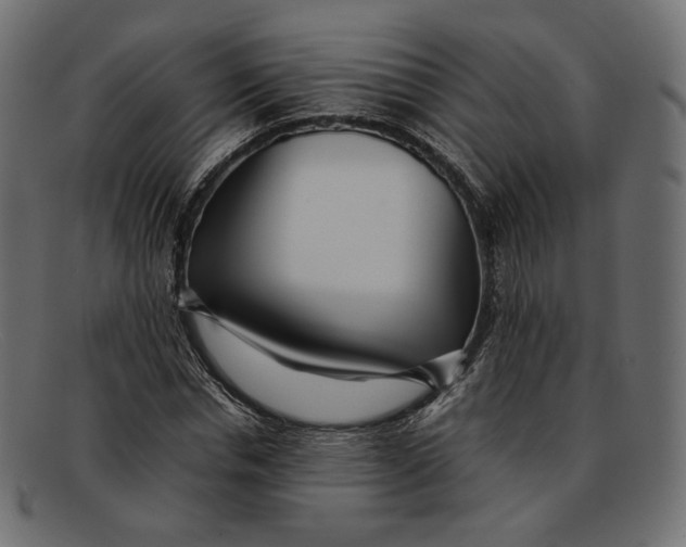 X0000092060826200710101032