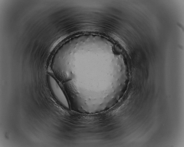 X0000092060829200710101032