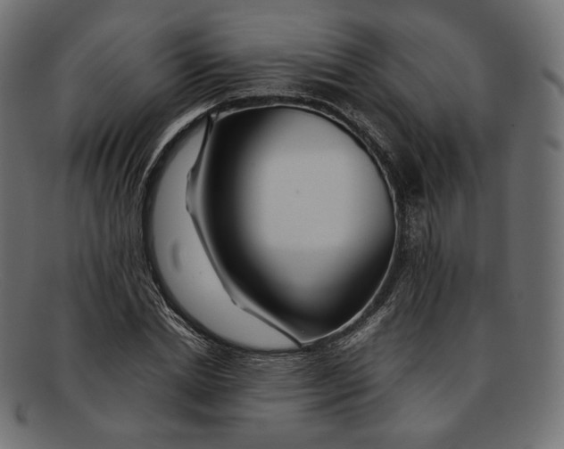 X0000092060830200710101032