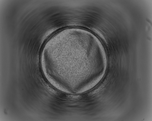 X0000092060831200710101032