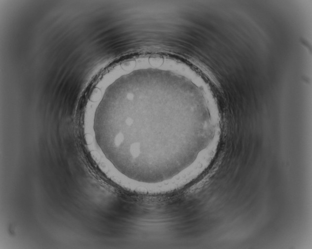 X0000092060832200710101032