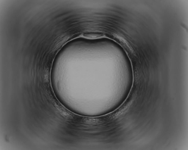 X0000092060833200710101032