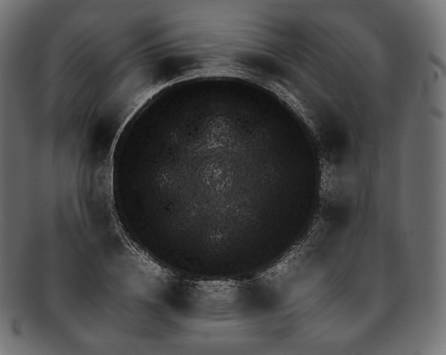 X0000092060836200710101032