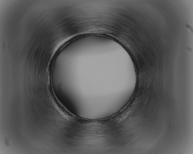 X0000092060838200710101032