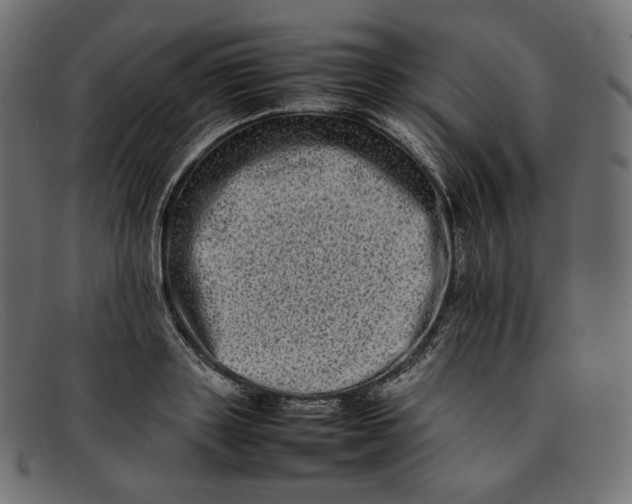 X0000092060843200710101032