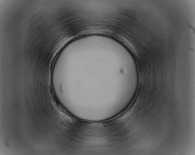 X0000092060844200710101032