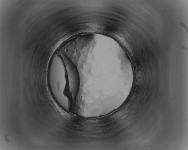 X0000092060845200710101032