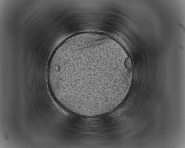 X0000092060847200710101032