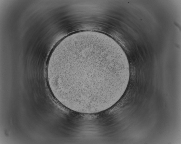 X0000092060848200710101032