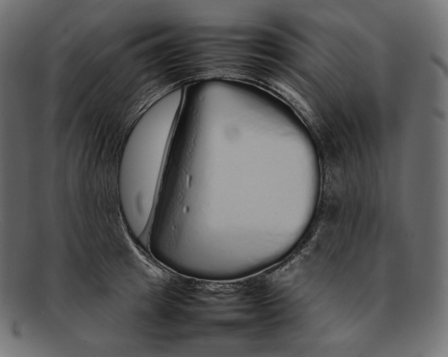 X0000092060849200710101032