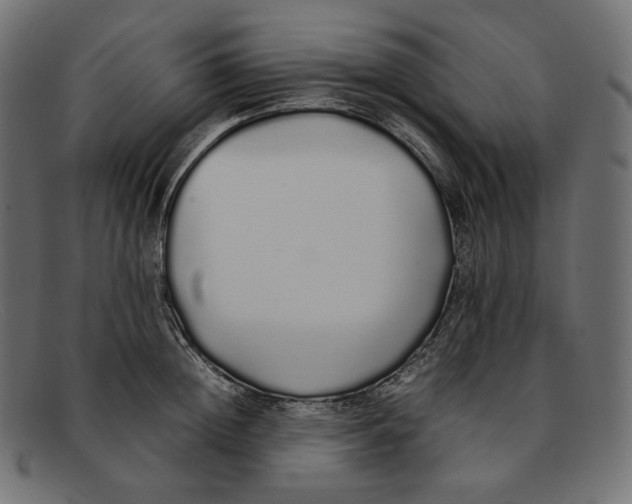 X0000092060852200710101032