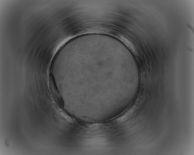 X0000092060854200710101032