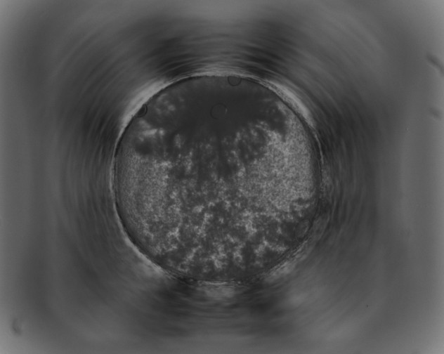 X0000092060855200710101032