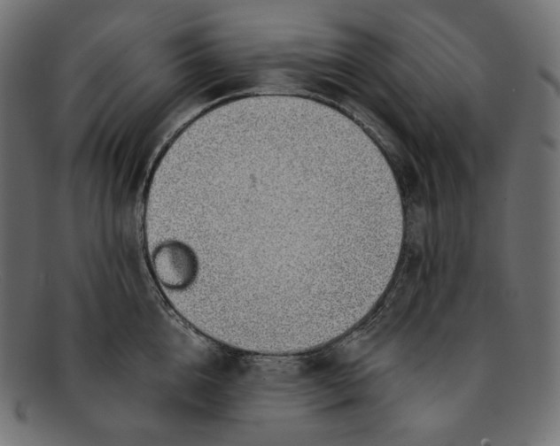 X0000092060856200710101032