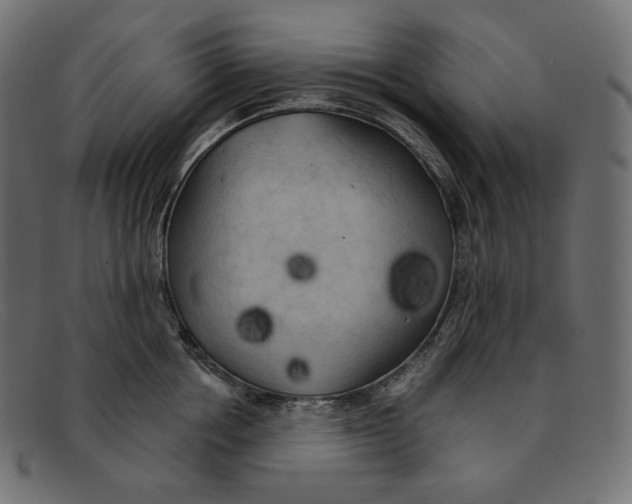 X0000092060858200710101032