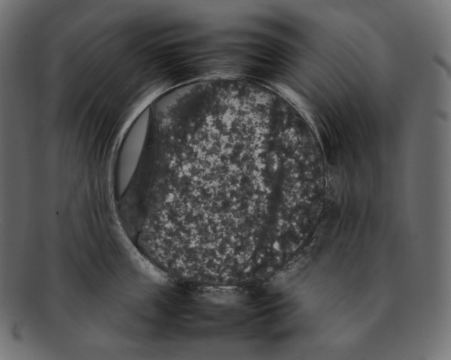 X0000092060859200710101032