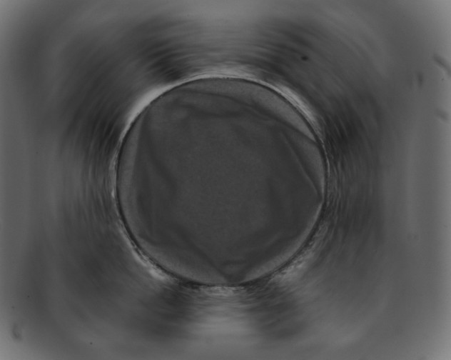 X0000092060862200710101032