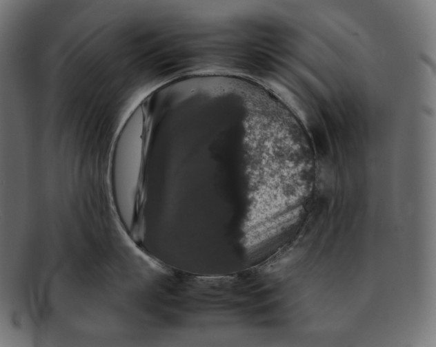 X0000092060863200710101032