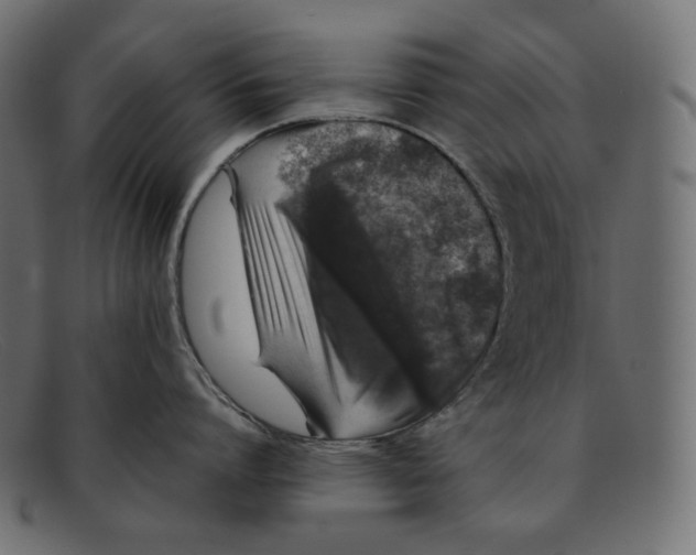 X0000092060864200710101032