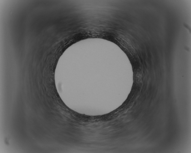 X0000092060865200710101032