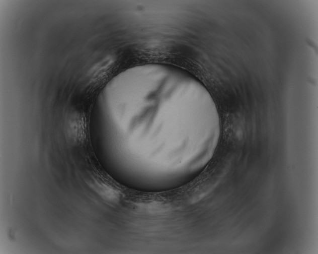 X0000092060866200710101032