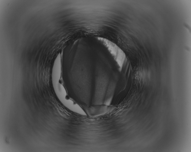 X0000092060868200710101032